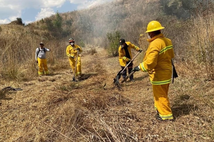 Lía Limón supervisa trabajos para prevención de incendios forestales