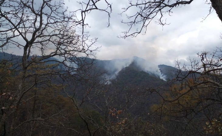 Fuego consume más de 300 hectáreas de bosque en Tlapacoya