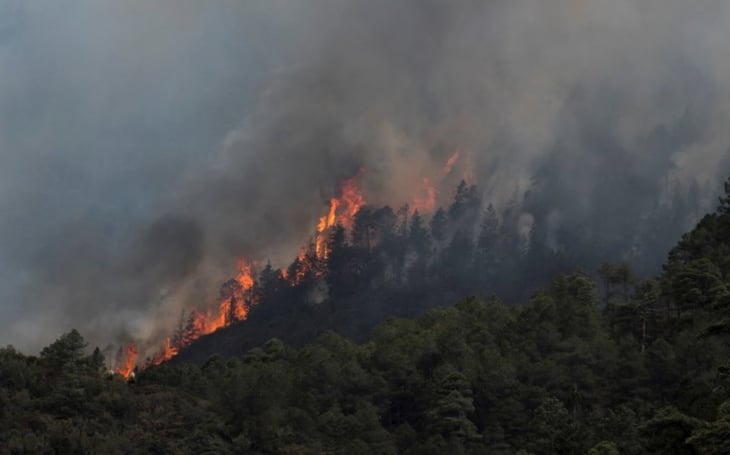 Arteaga pone en marcha la brigada municipal contra incendios forestales