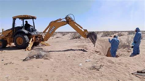 La fiscalía encuentra restos de 26 víctimas en fosas clandestinas en Sonora