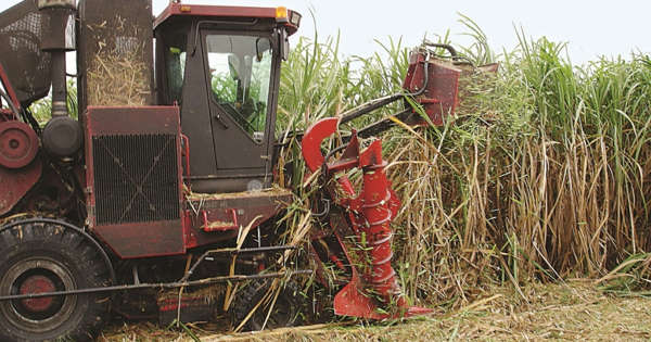 Rusia prohíbe las exportaciones de cereales y azúcar 