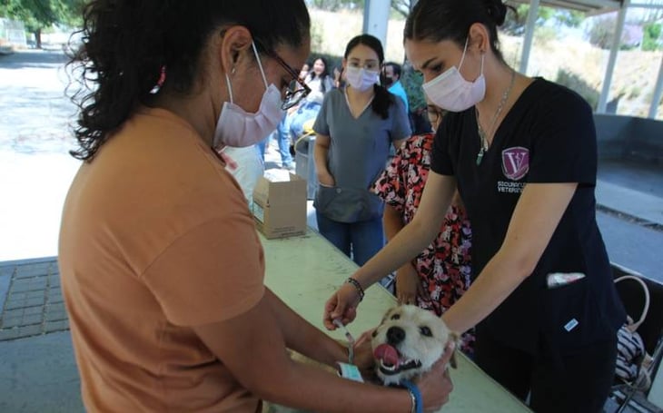Se invitó a la ciudadanía a esterilizar sus mascotas para prevenir