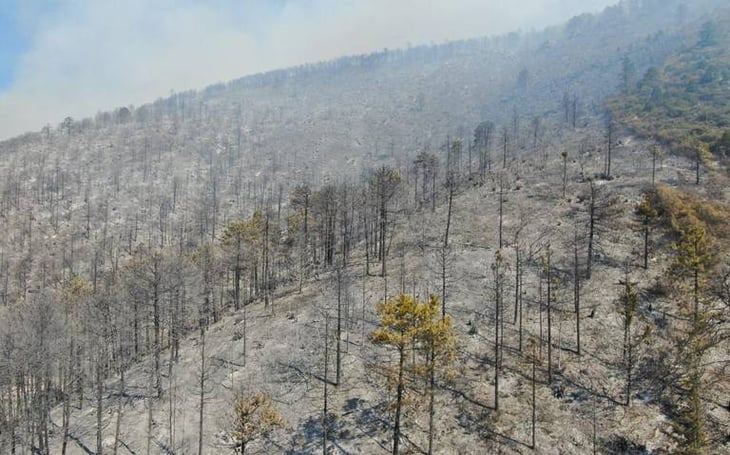 Arteaga se queda sin vigilancia pese al incendio forestal ocurrido