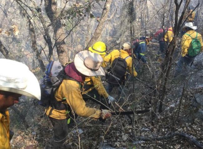 Incendio forestal se registra en la sierra de Castaños