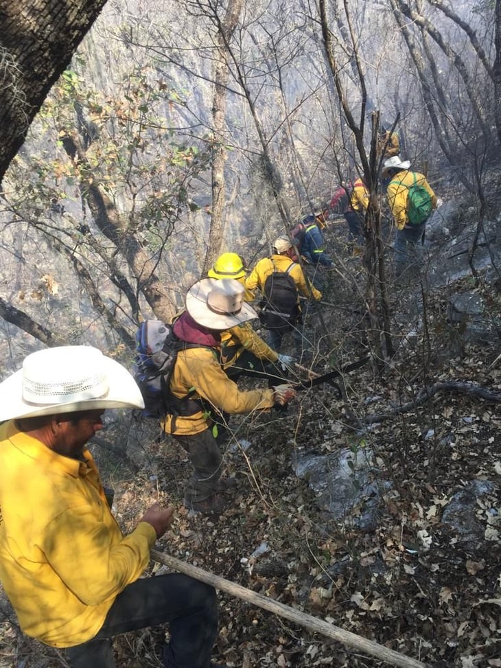 Incendio daña más de 500 hectáreas en el área 'las uvas' del ejido soledad de castaños