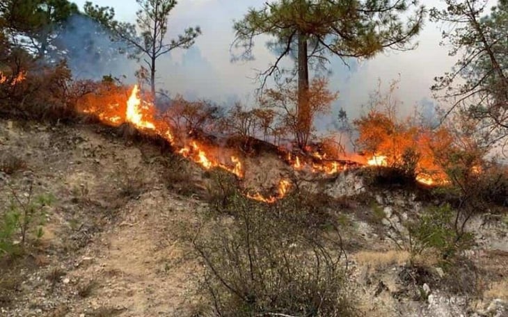 En Coahuila van 18  incendios en este 2022