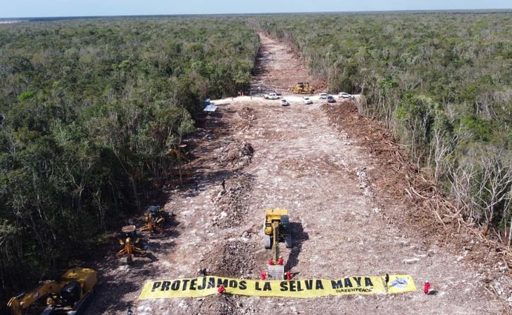 Greenpeace llama a suspender obras del Tren Maya en tramo 5