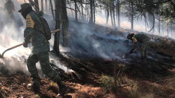 Incendio en sierra de Santiago, norte de México, ha afectado 1.200 hectáreas
