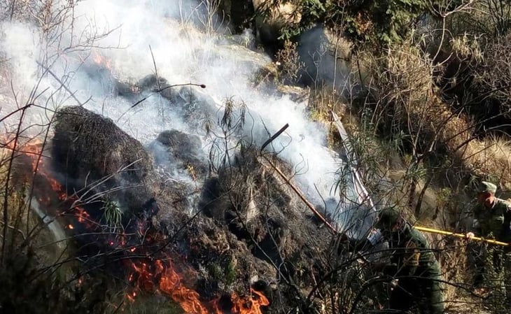 En una semana se registraron 18 incendios forestales en Veracruz