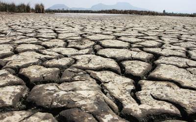 Coahuila, el más afectado por la sequía; Guerrero e Hidalgo de los más perjudicados