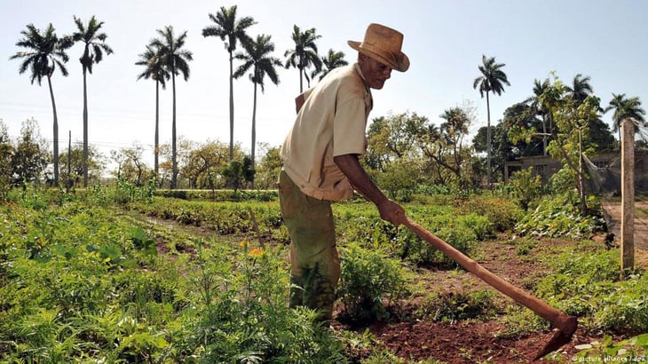 Agricultores de EEUU cierran visita a Cuba y piden más comercio bilateral