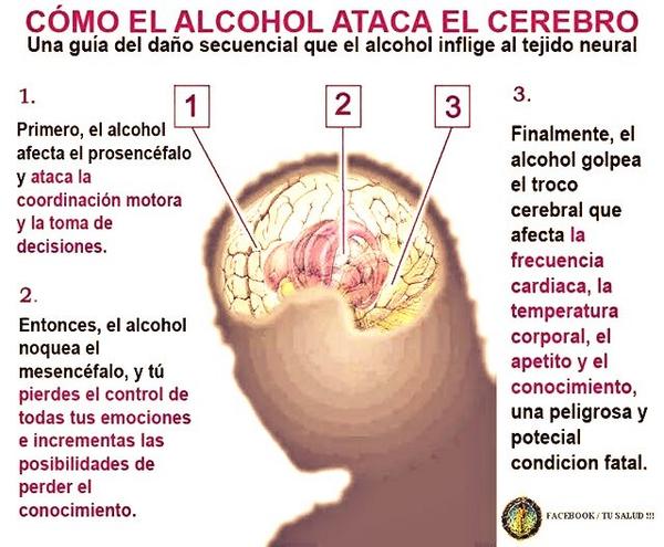 ¿Cuáles son los efectos que el alcohol provoca en nuestro cerebro?