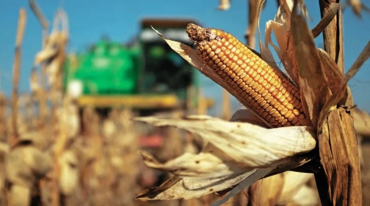 Sader busca incrementar la producción de granos para abatir la inflación