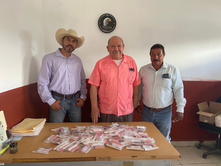 Castaños entrega gratis  200 huertos familiares
