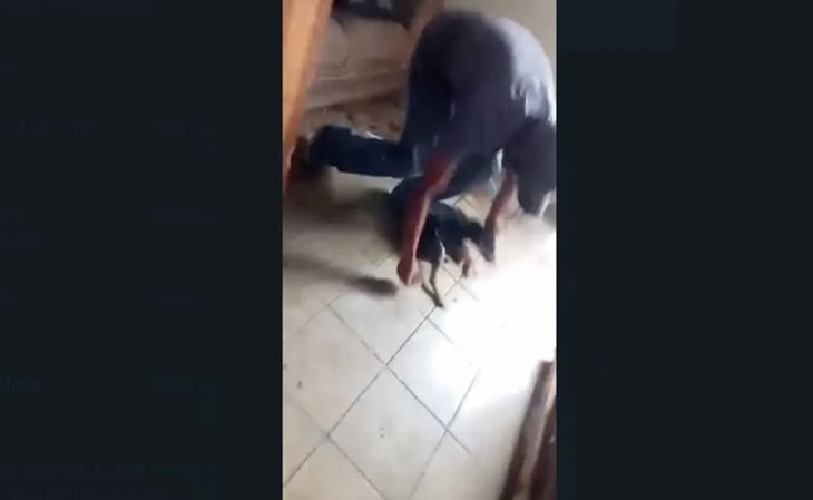 Exhiben en video a sujeto asfixiando a un cachorro en Puebla
