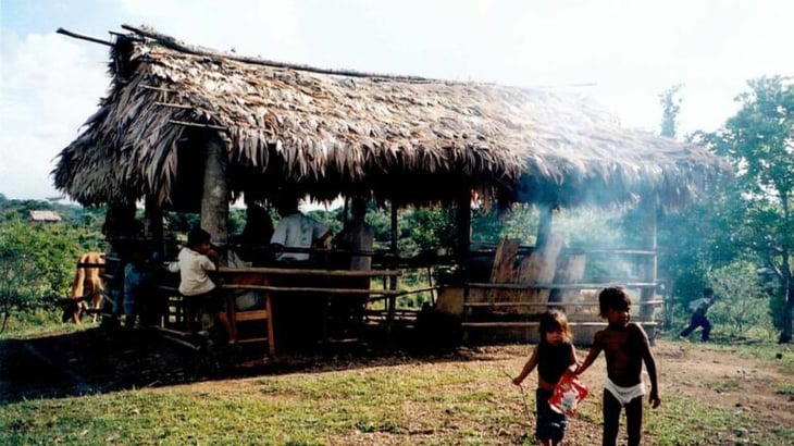 Denuncian que un grupo de indígenas fue expulsado de su bosque en Nicaragua
