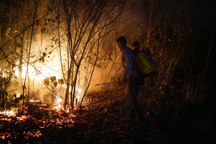 Jóvenes de 16 y 18 años entre 4 muertos por incendio forestal