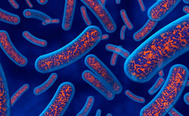 El grafeno detecta si una bacteria sigue viva después de usar un antibiótico