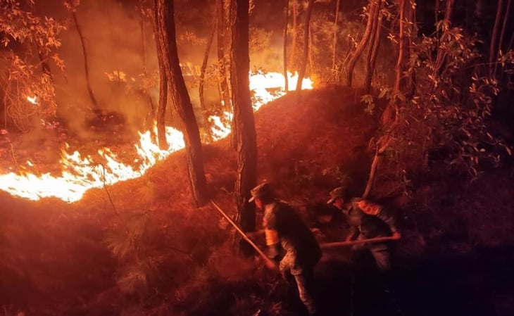 Incendio consume 150 hectáreas de pastizal en Tejupilco