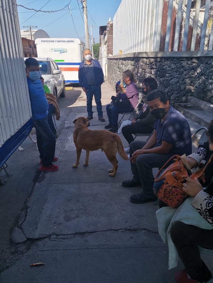 50% disminuyen los animales callejeros en Monclova 