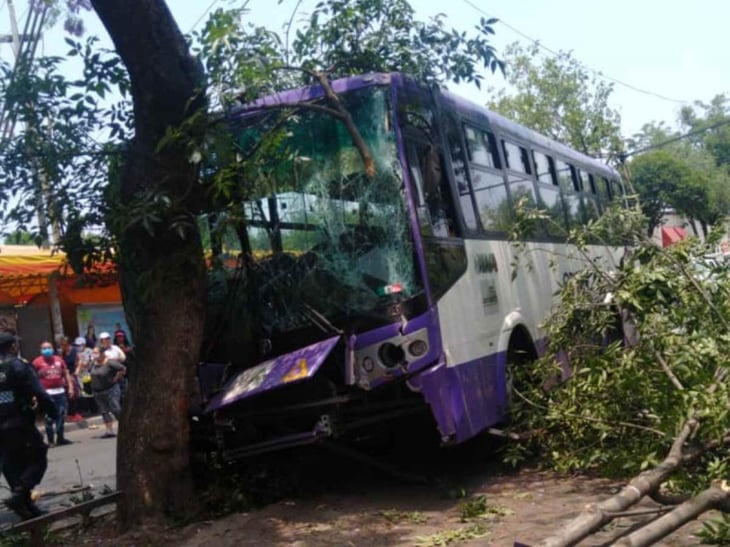 Camión de transporte público choca contra árbol al sur de la CDMX