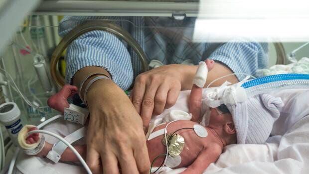 4 bebés prematuros en el Amparo Pape, uno de ellos falleció 