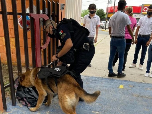 Con operativo mochila y unidad canina reanuda clases el Cbtis 34 tras amenaza de tiroteo