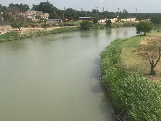 Protección Civil 'alerta' ¡no ingresar al Río  Bravo! por  avistamiento de cocodrilos