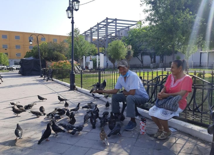 Adultos mayores alimentan palomas en las plazas de Monclova