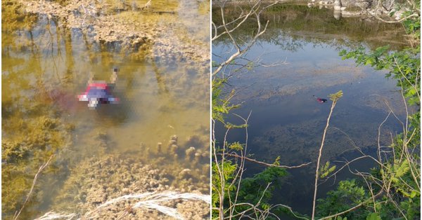 Encuentran flotando el cuerpo de un hombre en la aguada de Conkal