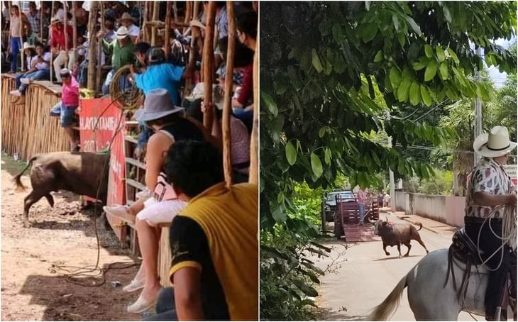 Toro escapa de una corrida y causa temor en Chumayel, Yucatán