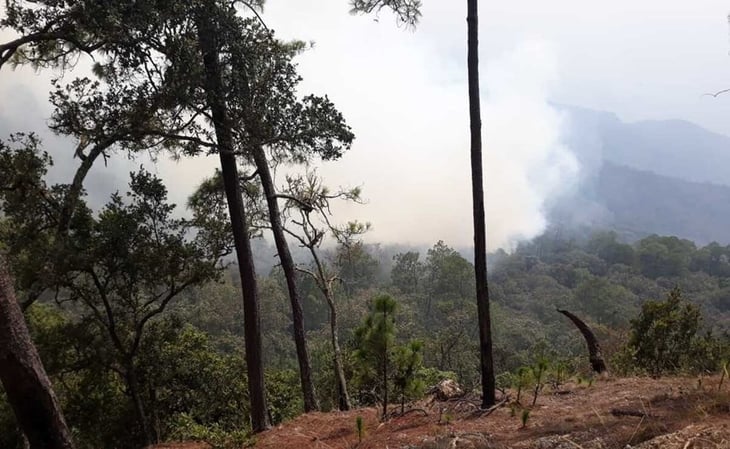 Cumple 7 días incendio forestal en la Mixteca de Oaxaca