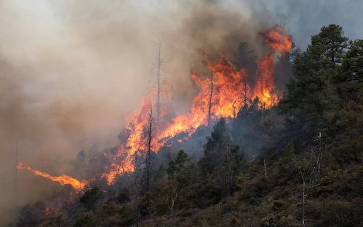 260 hectáreas afectadas por incendio en Arteaga