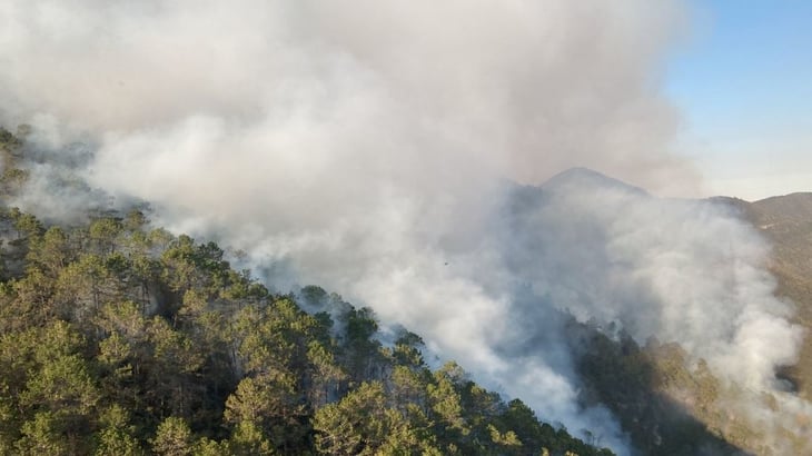 Incendio forestal a consumido 440 hectáras, sigue sin control