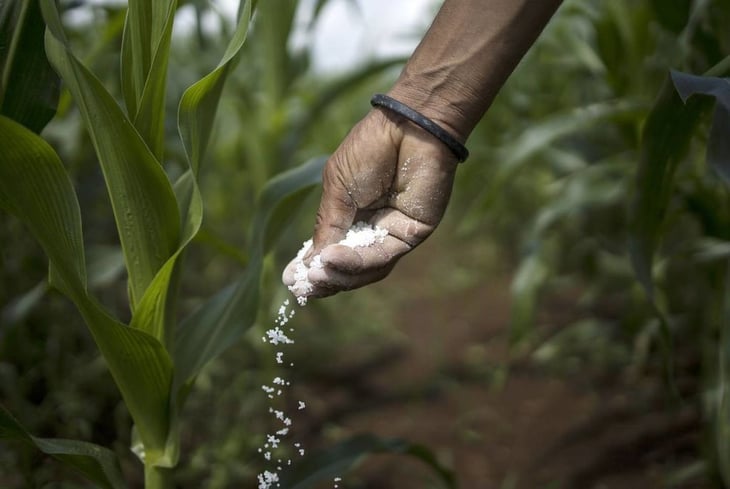 Perú comprará y distribuirá fertilizantes para mitigar sus altos precios