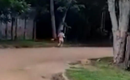 Video: mujer “en viaje” corre sin ropa por la ciudad y se tira al río