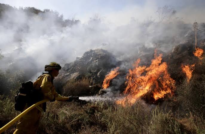 Siete incendios forestales siguen activos en Coahuila, dos en Acuña
