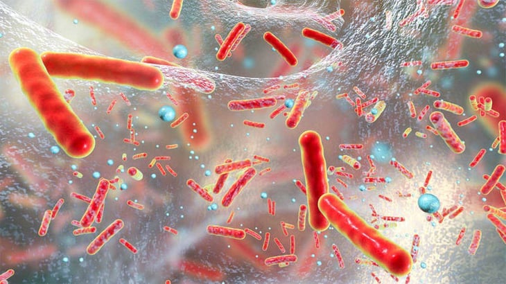 Descubren en la Antártida bacterias 'hiperresistentes' a antibióticos
