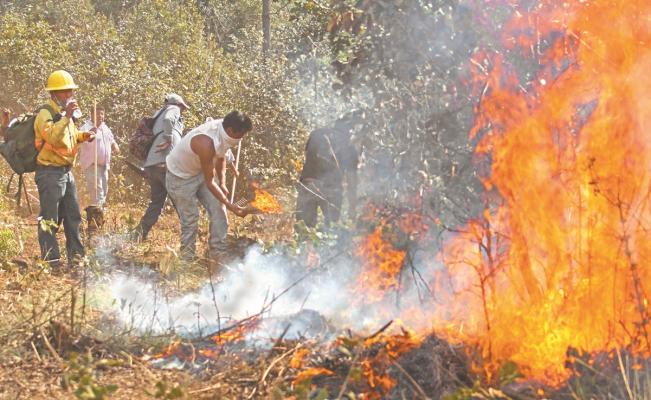Reportan incendios forestales sin control en SLP