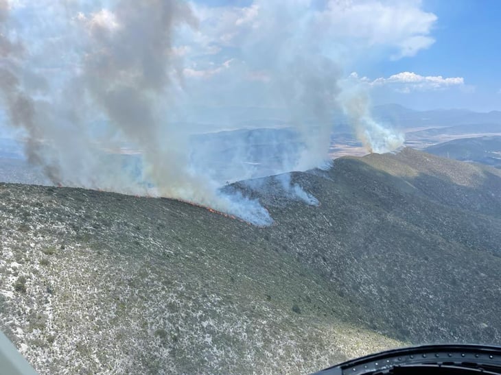 Casi extinto incendio forestal en Los Lirios