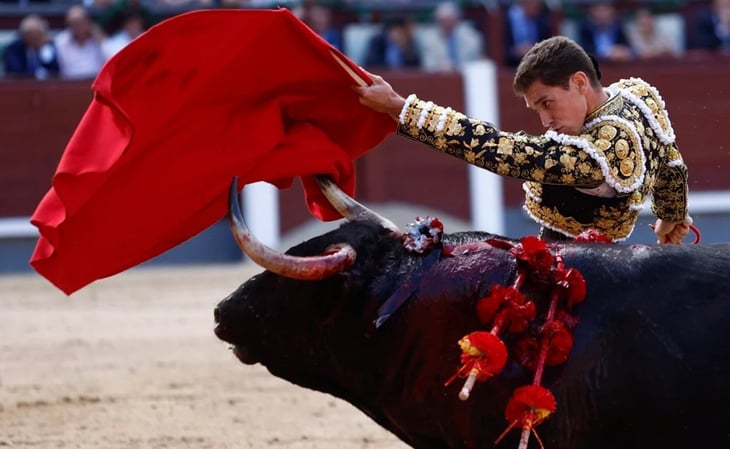 Rafael Herrerías compara menstruación con heridas de toros en ruedo