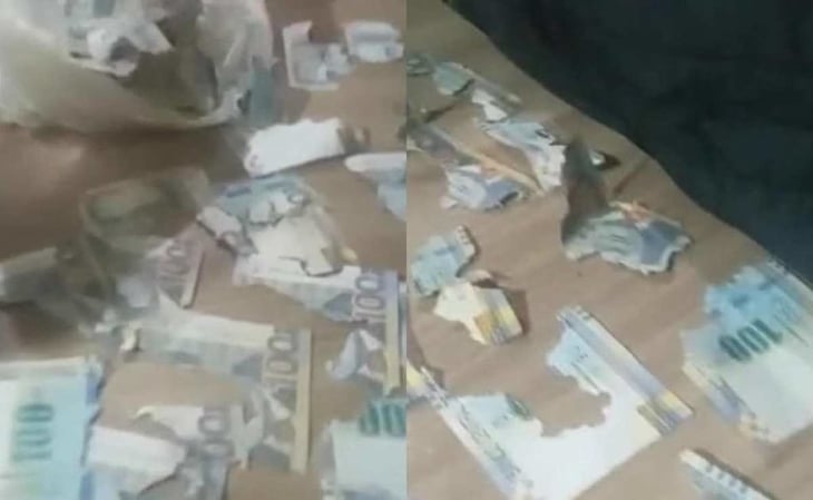 Viral: rata destroza más de 15 mil pesos en ahorros en Perú