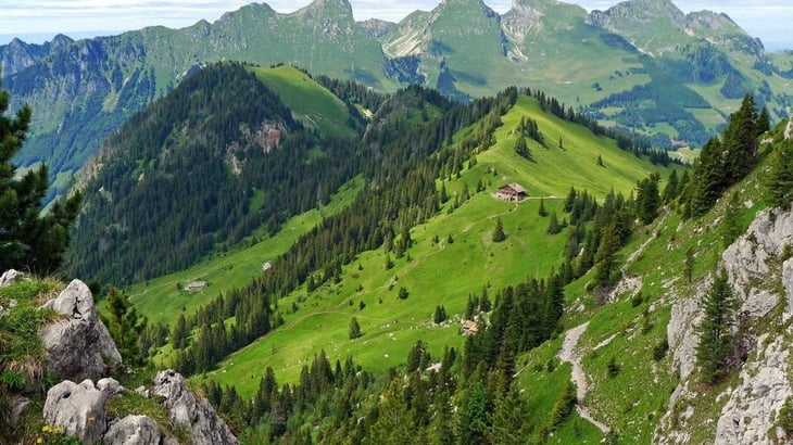 Los Alpes suizos se están volviendo verdes por el cambio climático
