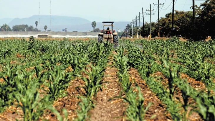 Guerra en Ucrania dificulta agricultura mexicana