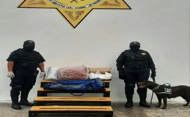 Aseguran más de 8 kilos de droga en terminal de autobuses de Mérida