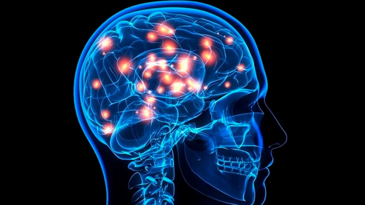 Investigadores descubren un circuito cerebral que podría tratar la adicción