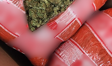 Guardia Nacional intercepta 16 paquetes de marihuana 
