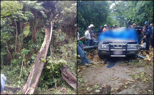 Caída de árboles deja 3 muertos en dos municipios de Chiapas