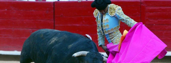 Dictamen definitivo contra corridas de toros va para largo, asegura Comisión de Bienestar Animal
