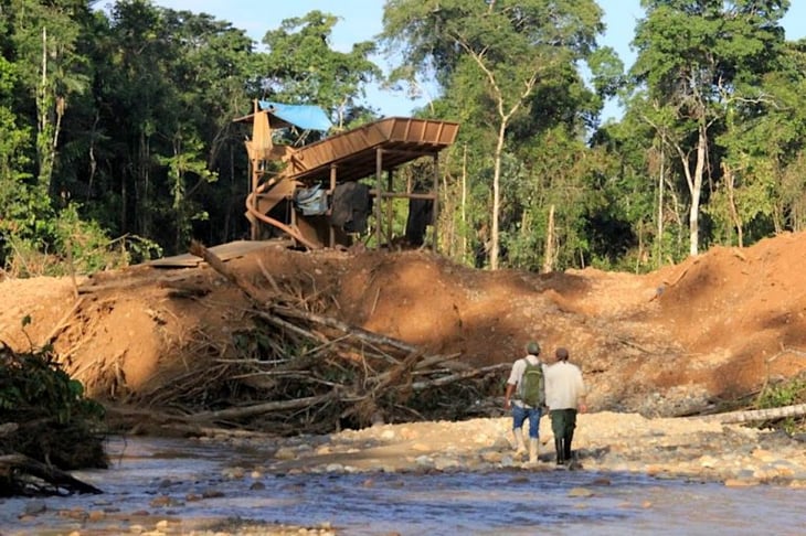 ONG venezolana alerta sobre pérdida de bosques por minería en el Esequibo